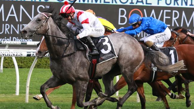 Classique Legend is in back to prime condition for his Everest title defence thanks to the help of his trackwork rider, former jockey, Peter Robl. Picture: Grant Guy