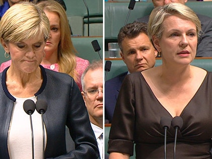 Julie Bishop and Tanya Plibersek had their moments, particularly in Question Time.