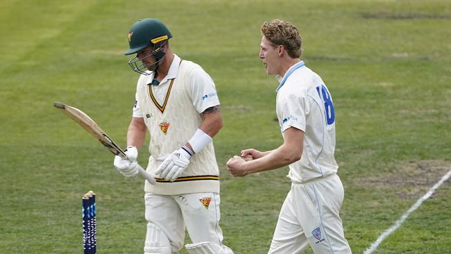 Blues bowler Jack Edwards celebrates dismissing Tigers batsmen Ben McDermott in the Sheffield Shield.