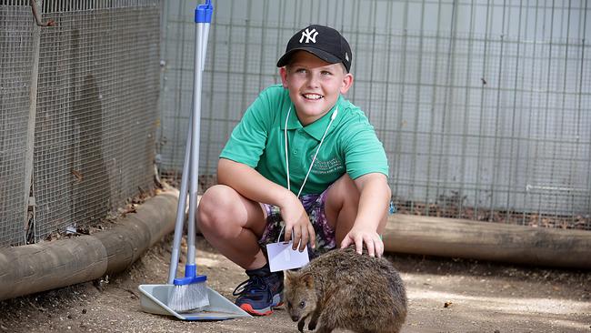 Lachlan Holgate, 10, enjoys being a zookeeper for a day at Featherdale on January 8, 2018. Picture: Carmela Roche