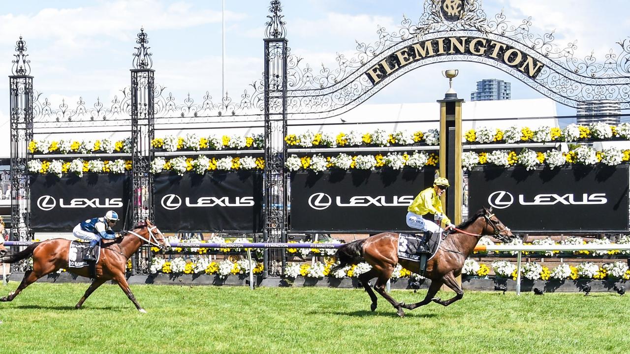 Without A Fight romped to victory last year. Photo by Brett Holburt/Racing Photos via Getty Images