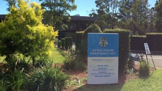 The dog died at Northside Emergency Veterinary Services in Terrey Hills. Picture: Supplied.