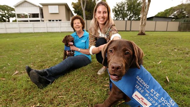 Seeing Eye Dogs Australia: Puppy carers needed in Brisbane | The ...