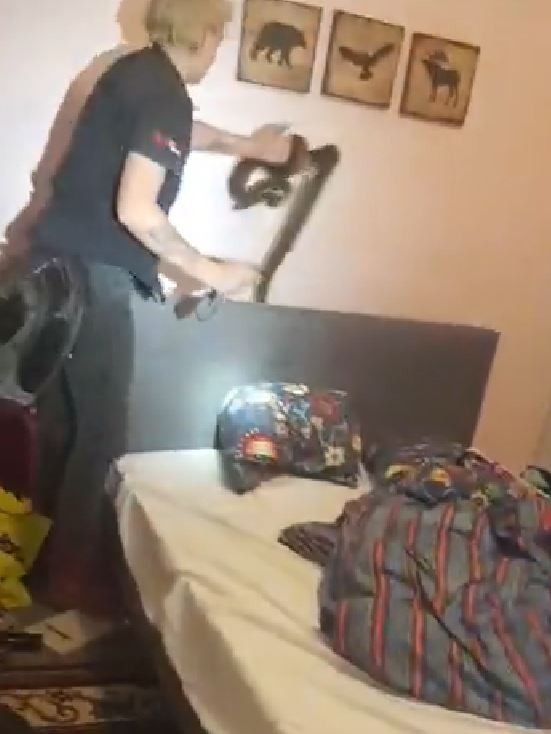 Gold Coast and Brisbane Snake Catchers have rescued a carpet python from a Burleigh bedroom, underneath the bed. Photo: Facebook