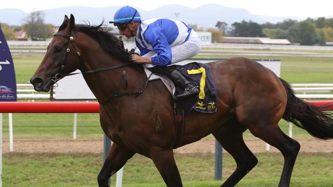 Hawaii Five Oh, ridden by Nash Rawiller, winning the Hawkesbury Guineas in April. Picture: Grant Guy