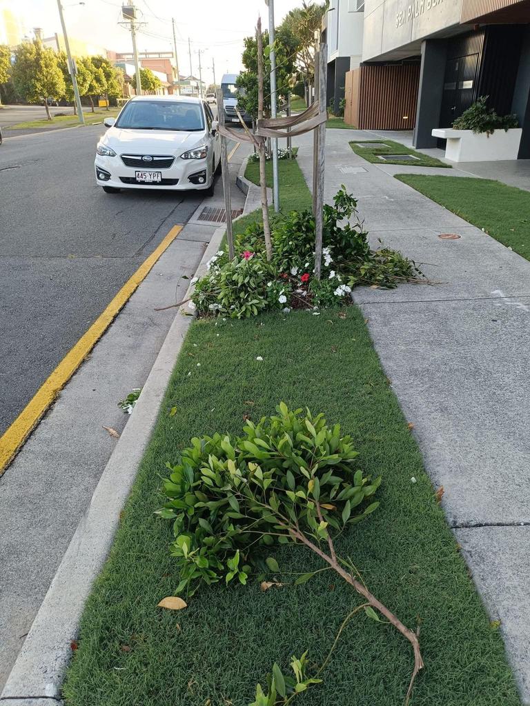 Photos of the carnage show trees ripped from the roots, rubbish strewn across the road and pathways and broken tables. Photo: Facebook/Hermann Vorster