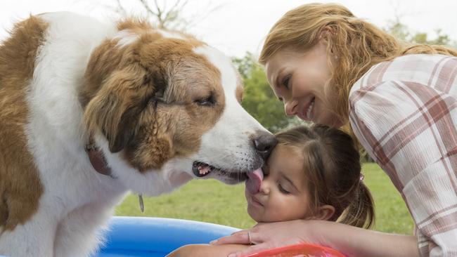 A Dog's Journey is an emotional rollercoaster.