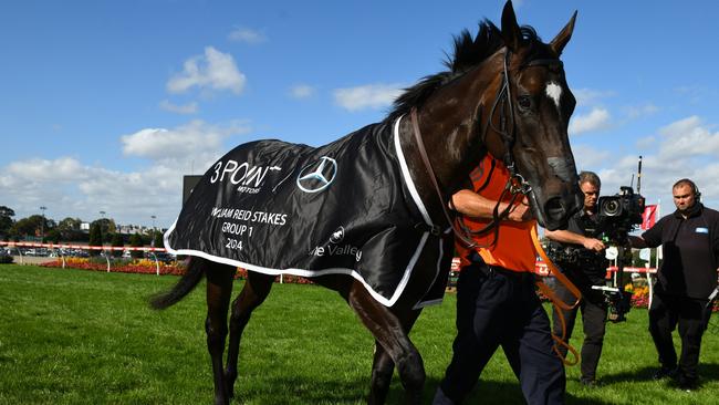 John Stewart believes horses are retired too early these days. Picture: Vince Caligiuri — Getty Images.