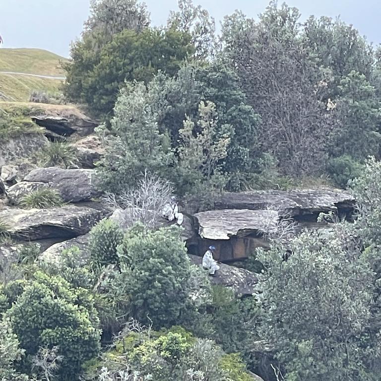 A friend told news.com.au Ms James and Thijssen were seen at the same park (emergency crews pictured on Friday above) three weeks before the tragedy. Picture: Jack Evans