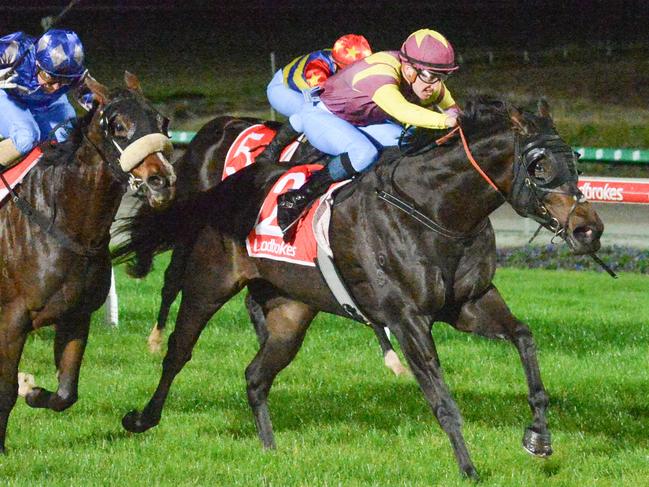 Bodhisattva ridden by Matthew Cartwright wins the Do It For Dolly Day C,G&E Maiden Plate at Cranbourne Racecourse on May 10, 2024 in Cranbourne, Australia. (Photo by Ross Holburt/Racing Photos via Getty Images)