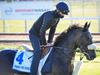 ‘Heartbreaking’: Fresh Melbourne Cup drama