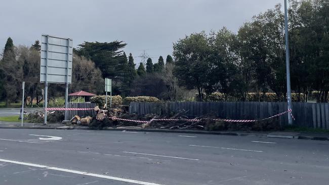 A tree has been cleared after it blocked Risdon Road. Image: Paul D’Alessandro