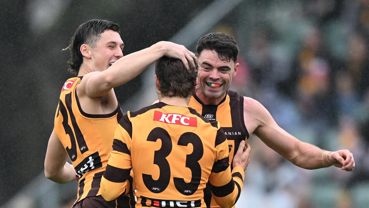 The Hawks soared into the finals. (Photo by Steve Bell/AFL Photos/via Getty Images)