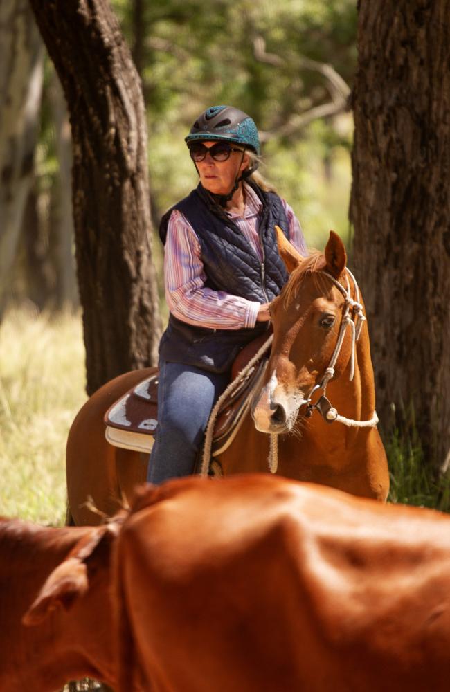 After four days following the cattle, many of the horses were relaxed on their journey.