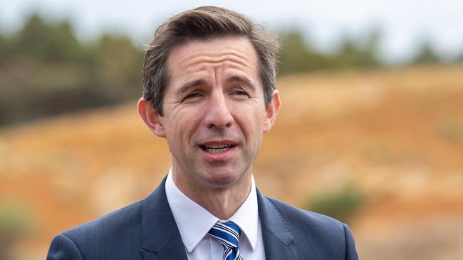 Senator Simon Birmingham: ‘It’s a choice between the Liberal­-National government and lower taxes or Bill Shorten’s Labor Party and higher taxes on everything from their savings to their homes, their cars and even their electricity bills.’ Picture: AAP 