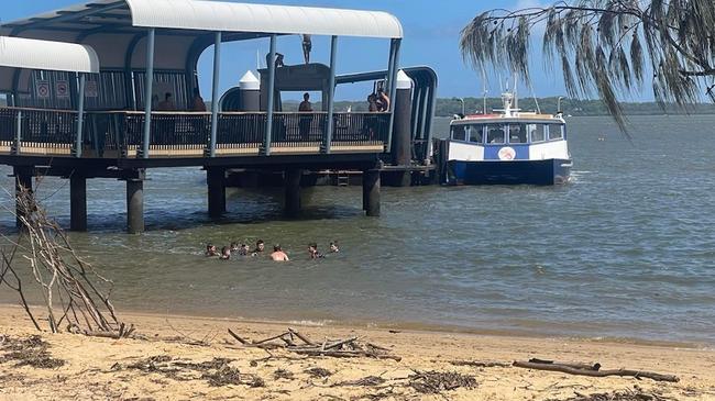 Swimmers at the Coochiemudlo Island ferry terminal metres from where Tyler Johnson was stung by a venomous stonefish. Pictures: Contributed