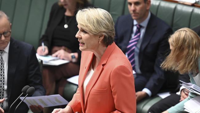 CANBERRA, Australia - NewsWire Photos - September 12, 2024: Minister for the Environment and Water Tanya Plibersek during Question Time at Parliament House in Canberra. Picture: NewsWire / Martin Ollman