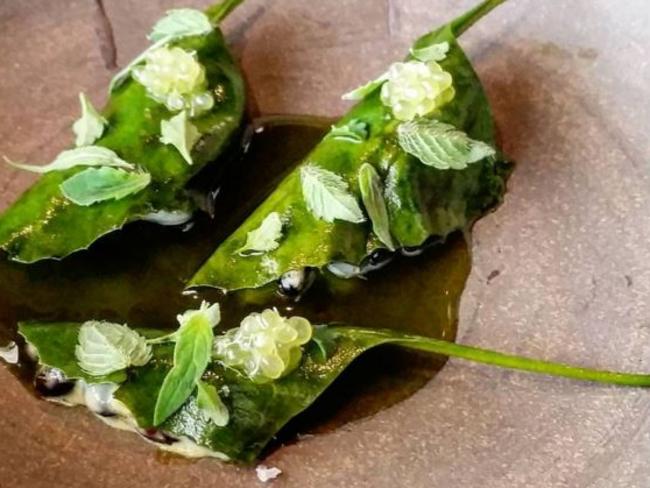 Wattle seed and salt brush with finger limes. Picture: Instagram @yu4na