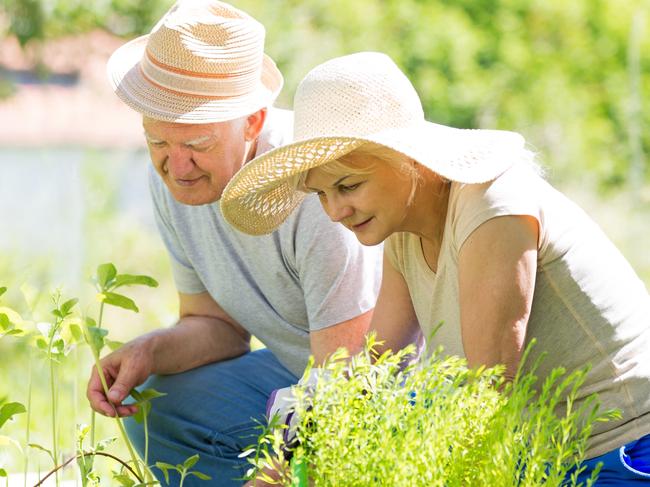 Smiling happy elderly seniors couple gardening