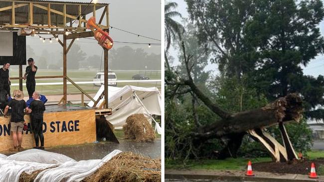 Man pinned by shed door, trees ripped out in storm chaos