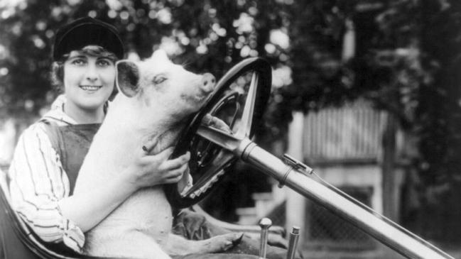 Film star actor Pearl White with a pet pig in 1916.