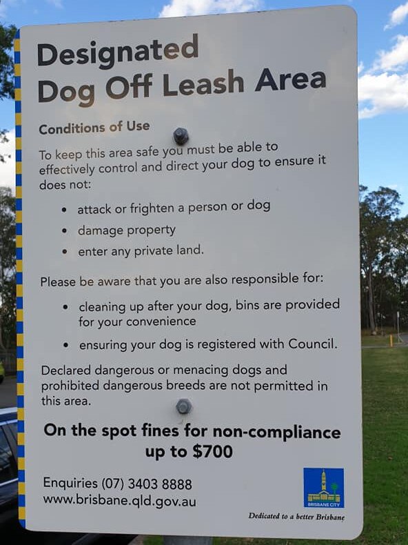 Council on the spot fines. Picture: Hayley Chalmers