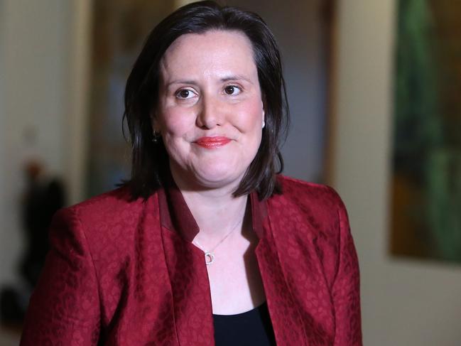 Minister for Women, Minister for Jobs and Industrial Relations Kelly O'Dwyer speaking at a doorstop at Parliament House in Canberra.