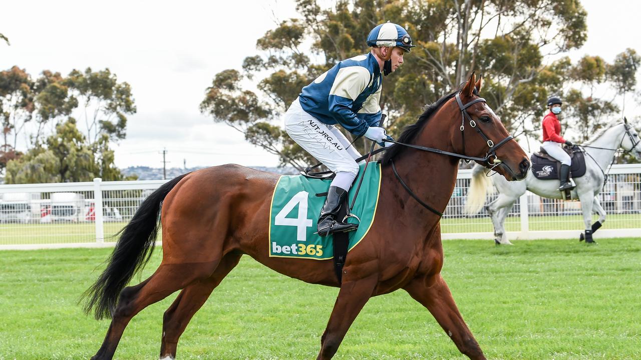 bet365 Geelong Cup