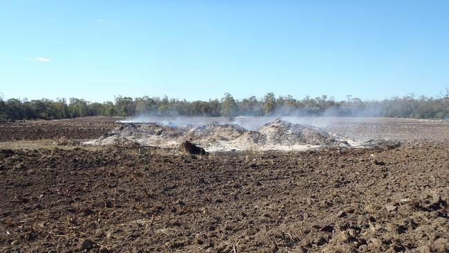 New European laws aim to end importation of products linked to deforestation. Picture: DES