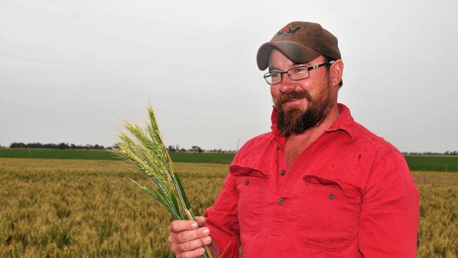 Farmer Ryan Milgate in a crop on his farm near Minyip in Victoria's Wimmera region. October 2020. Picture: James Wagstaff