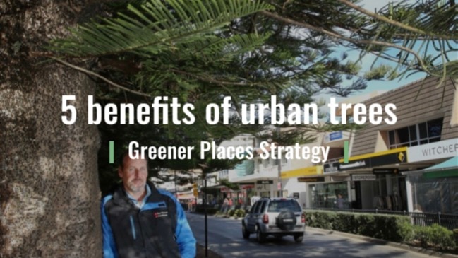 5 benefits of urban trees
