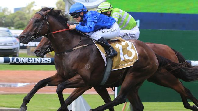 Andermatt is ready for a peak performance third-up at Rosehill on Saturday. Picture: Grant Guy