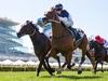Council considers swapping Show Day for Cup Day holiday