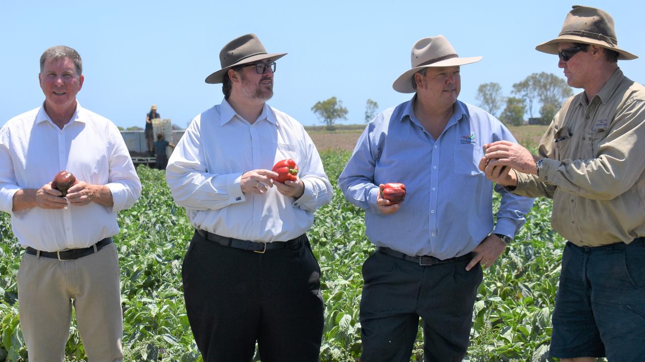 Bowen Pipeline Company chairman Brent Finlay, Dawson MP George Christensen, Whitsunday mayor Andrew Willcox, and Bowen Gumlu Growers Association president Carl Walker at Walker Farms on Tuesday, October 12, 2021. Picture: Kirra Grimes