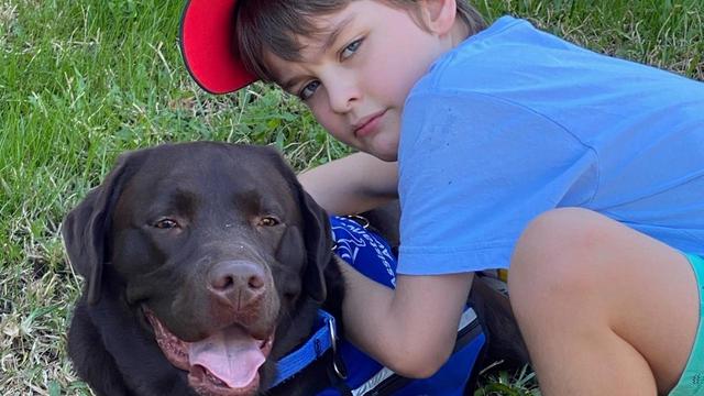 Assistance dog helps entire family of boy with Autism