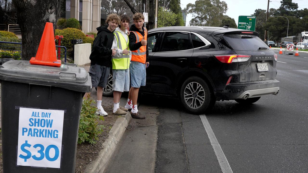 Oliver Andropov, Will Sanders, and Remi Worthington, all 16, are charging $30. Picture: Dean Martin