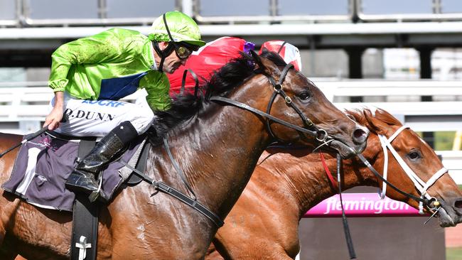 Royal Symphony is the favourite for the Caulfield Guineas.