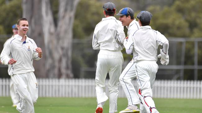 Churchie players celebrate a wicket. Picture, John Gass.