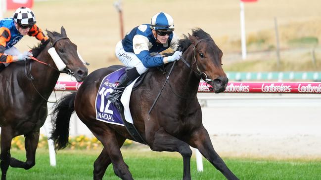 Nadal can handle the step up to 1400m in The Meteorite at Pakenham on Saturday. Picture: Scott Barbour/Racing Photos via Getty Images