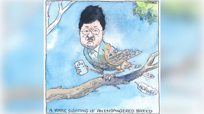 TPG boss David Teoh. Illustration: John Spooner