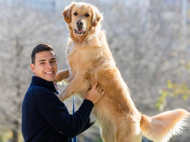 Photo with Anthony and his golden retriever Archie for a most liveable areas for dogs in Fawkner park South Yarra. Picture: Jason Edwards