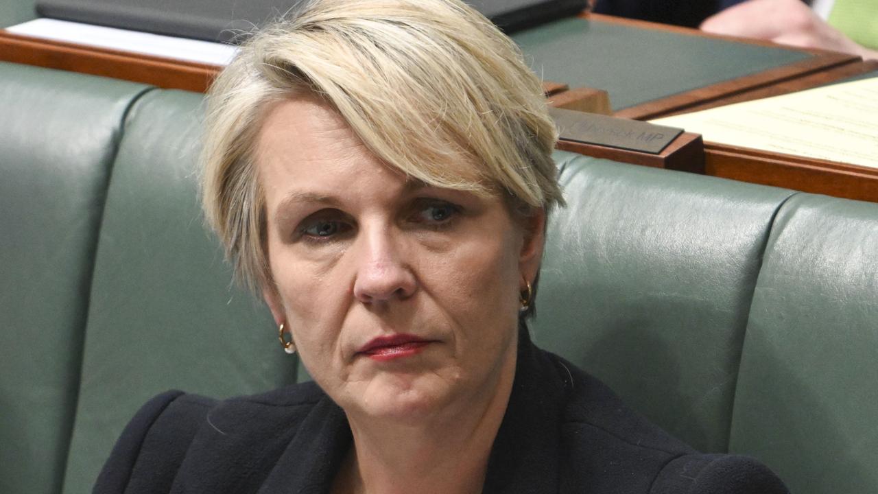 Environment Minister Tanya Plibersek has defended Prime Minister Anthony Albanese’s handling of a foiled alleged anti-Semitic terror plot in Sydney. Picture: NewsWire / Martin Ollman