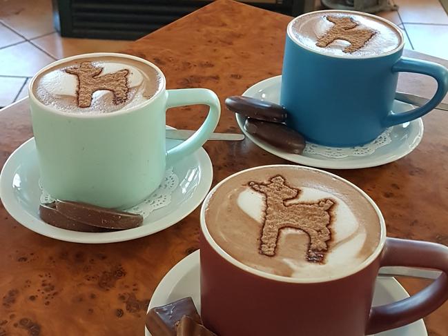 The Lost Fawn Cafe in Springbrook dusts its hot chocolates with its signature baby deer stencil. 