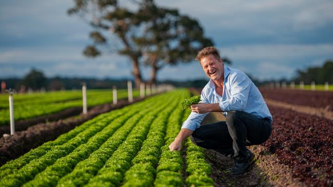 Jeremy Haw says lettuce production has halved because of poor weather and supply chain snarls. Picture: Laura Ferguson