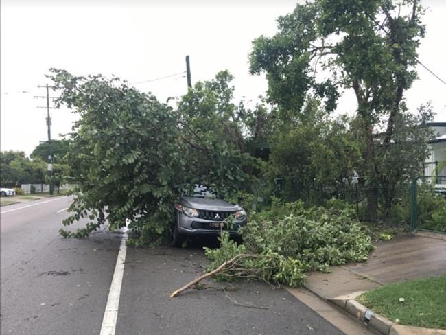 A tree on a car after Tropical Cyclone Kirrily hit Townsville: Evan Morgan