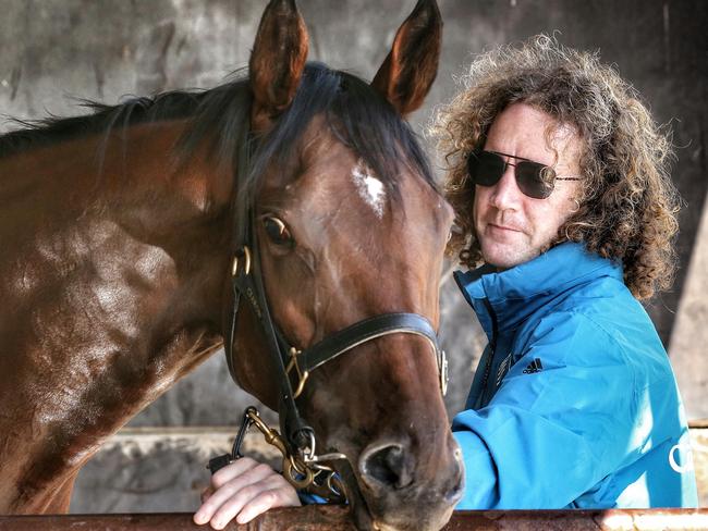 The Ciaron Maher trained Jameka hits the pool at Caulfield this afternoon, 27th October 2016. Picture: Colleen Petch.