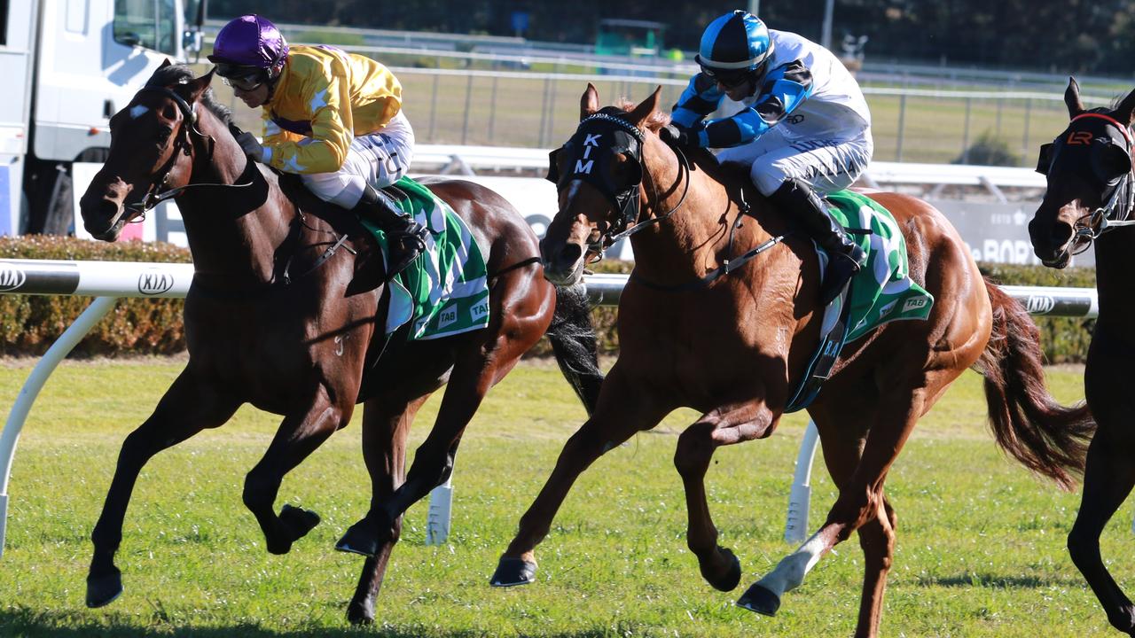 Ulusaba winning at Canterbury. Picture: Grant Guy