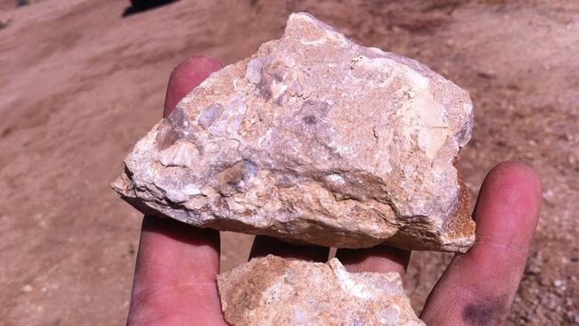 Vanadium is hosted in the limestone sediments of what was once an ancient inland sea in central and northern Queensland.