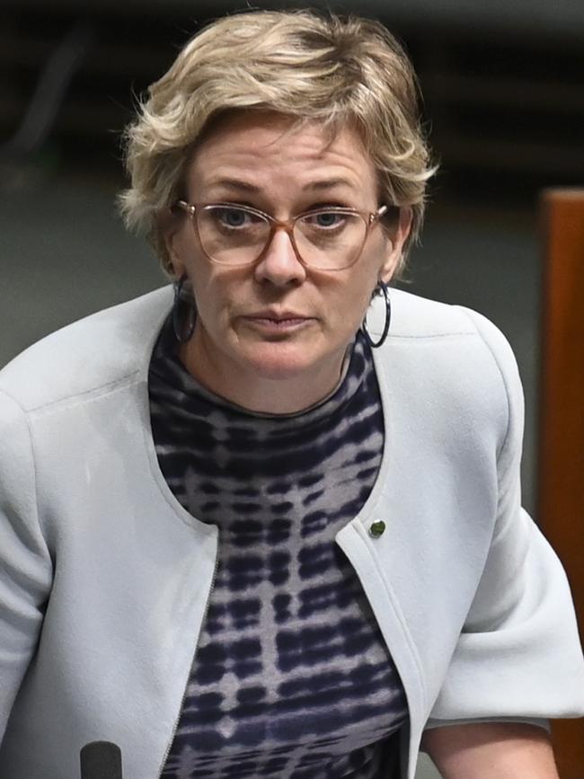 Zali Steggall. Picture: NCA NewsWire/Martin Ollman