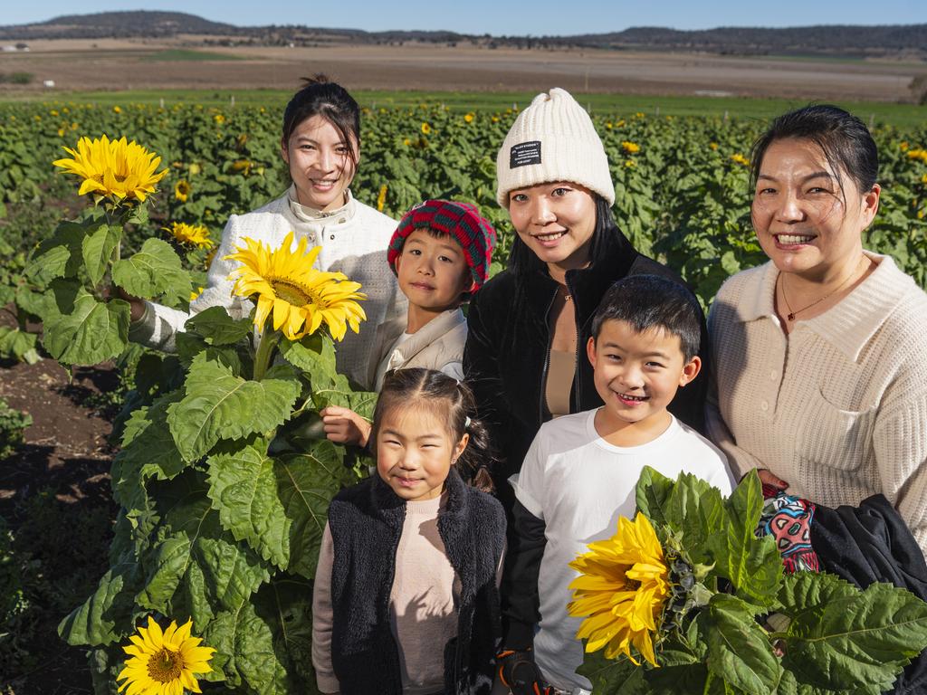 At Warraba Sunflowers are (from left) Wen Ping Chu, Samantha Song, Wilson Li, Amily Chu, Nelson Li and Yun Hua Wen, Saturday, June 22, 2024. Picture: Kevin Farmer